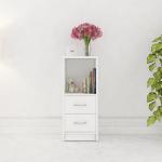 Multipurpose Storage Unit/Engineered Wood Free Standing Cabinet with 2 Door 32/16