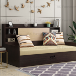 Sofa Cum Bed