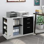 Storage Organizer File Cabinet