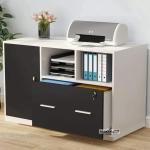 File Organizer Cabinet