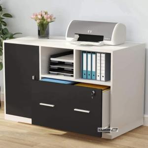 File Organizer Cabinet