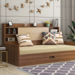 Sofa Cum Bed