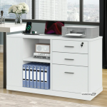 Storage Organizer File Cabinet