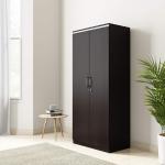 Indispensable - 2 Door Almira with Inner Drawer and Cloth Storage Unit